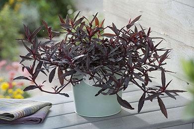 英国制造出世界首块碳-14钻石电池 潜在寿命可达数千年